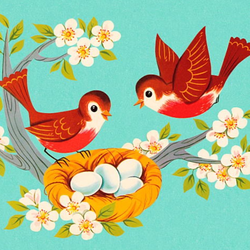 Meet your Posher, Ericka